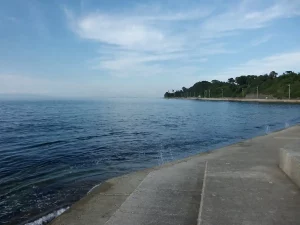 2022年8月26日深日漁港