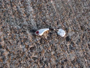 ダイソー製スピンテールジグ14g