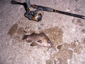 17サハラC2000SAKURASAKU@HP.KEI-STYLE.COM