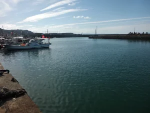深日漁港港内