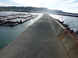 立ち入り禁止の護岸