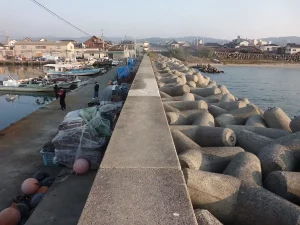 港外側テトラ帯